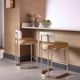 Larissa Bar/Counter Stool