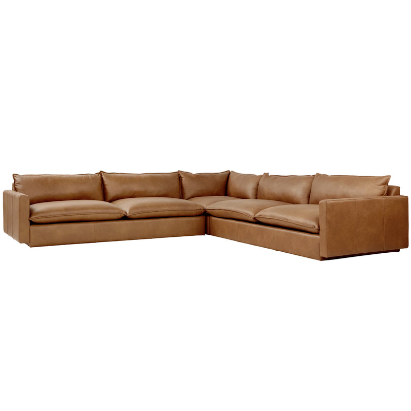 Sola Bi-Sectional